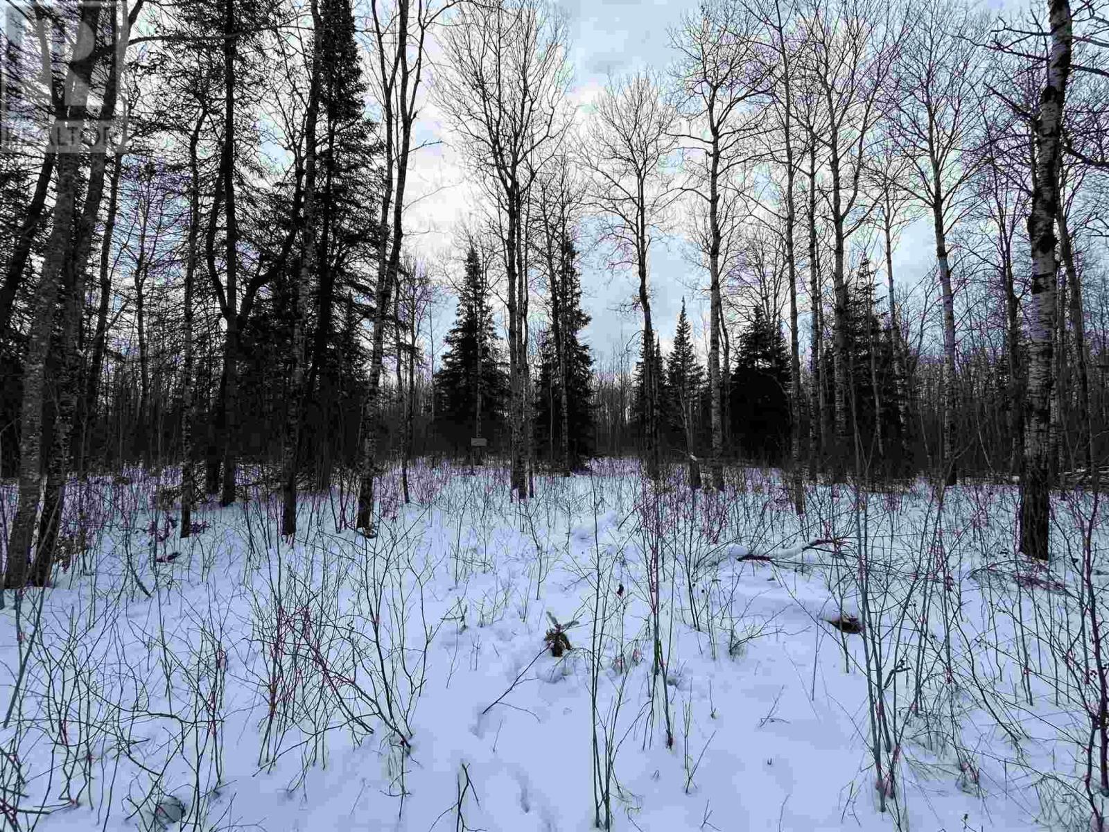 905 Frog Creek Rd, Alberton, Ontario  P9A 3M2 - Photo 7 - TB250015