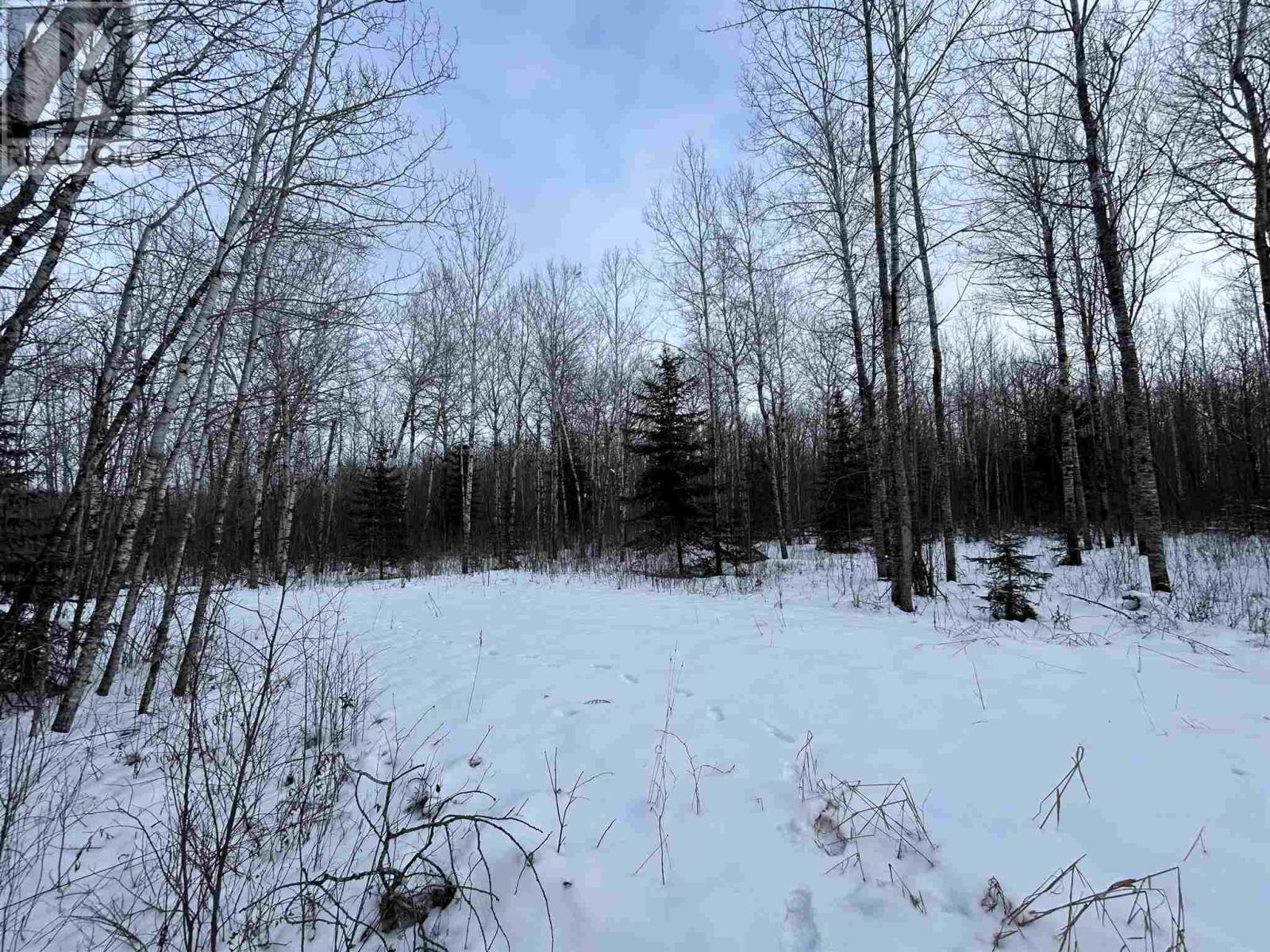 905 Frog Creek Rd, Alberton, Ontario  P9A 3M2 - Photo 8 - TB250015