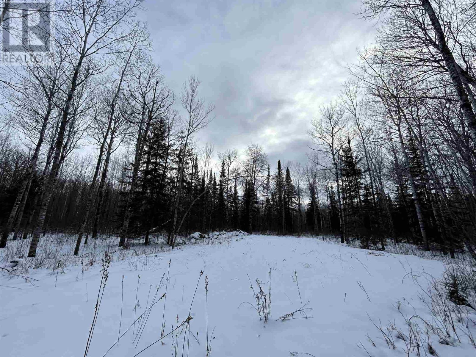 905 Frog Creek Rd, Alberton, Ontario  P9A 3M2 - Photo 9 - TB250015