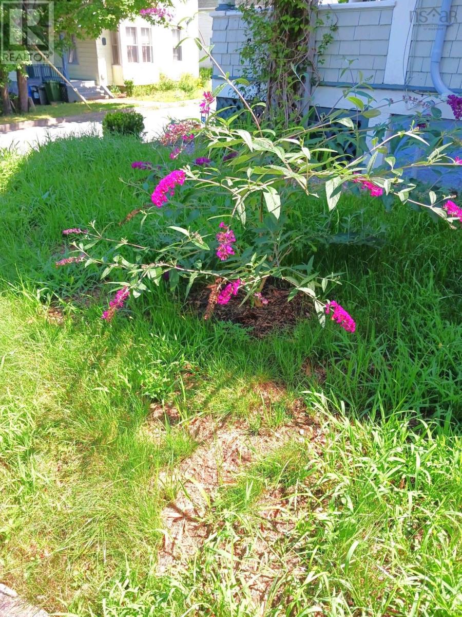 12 Prince Street, Bridgewater, Nova Scotia  B4V 1C6 - Photo 36 - 202505171