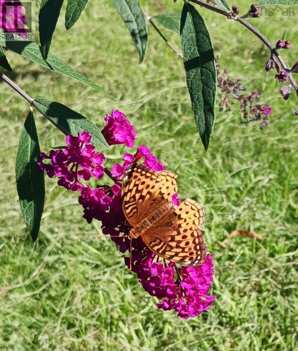 12 Prince Street, Bridgewater, Nova Scotia  B4V 1C6 - Photo 37 - 202505171