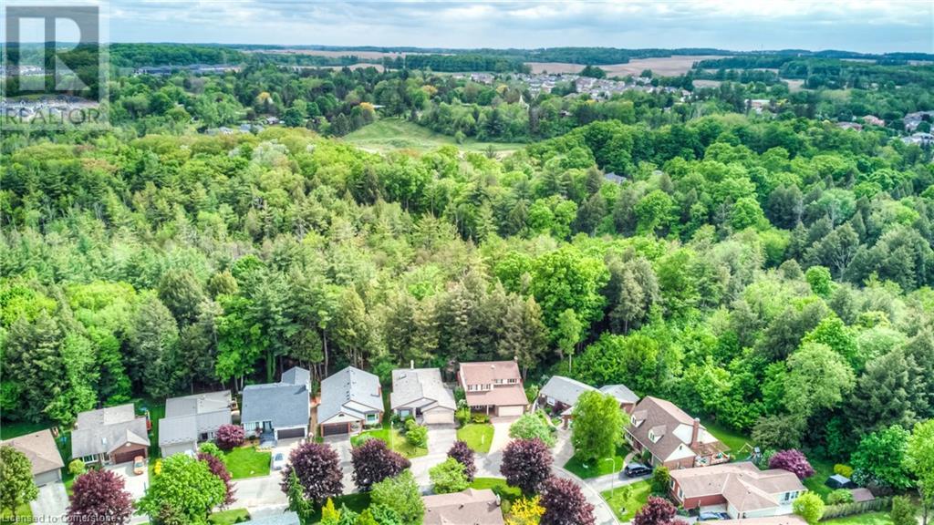 105 Sabrina Crescent, Kitchener, Ontario  N2P 1Y7 - Photo 5 - 40707705