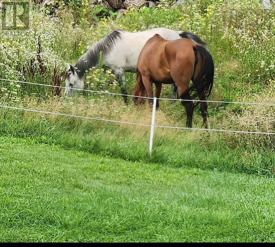 2155 Bishop Mountain Road, North Kingston, Nova Scotia  B0P 1R0 - Photo 48 - 202505186