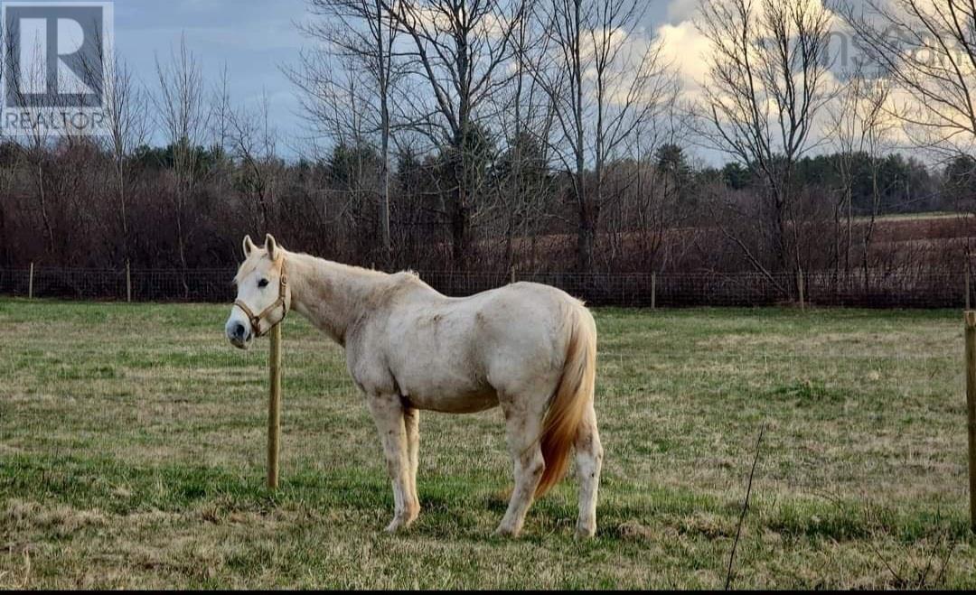 2155 Bishop Mountain Road, North Kingston, Nova Scotia  B0P 1R0 - Photo 50 - 202505186