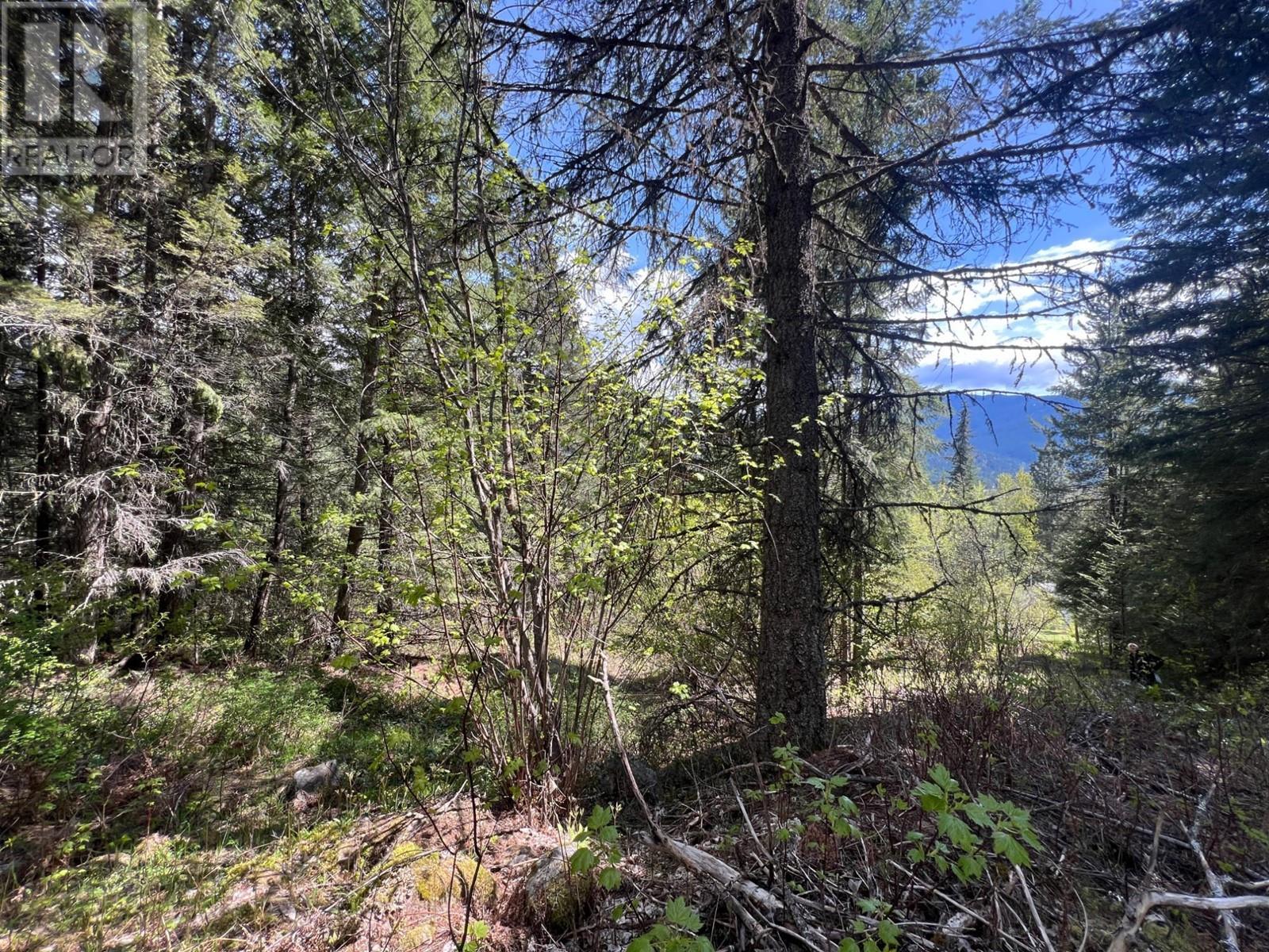 Lot 2 Lois Lane, Winlaw, British Columbia  V0G 2J0 - Photo 2 - 10339491
