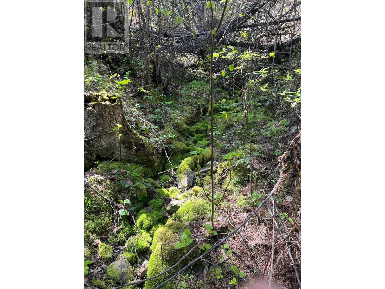 Lot 2 Lois Lane, Winlaw, British Columbia  V0G 2J0 - Photo 3 - 10339491