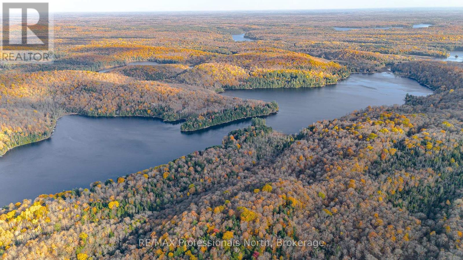 1534 Salerno Lake Road, Highlands East, Ontario  K0M 1X0 - Photo 29 - X12026520