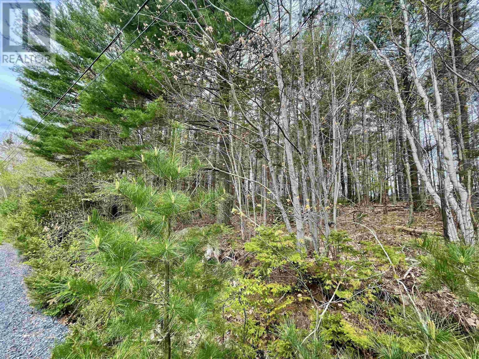 Lot Highway 103, Oakhill, Nova Scotia  B4V 0E1 - Photo 10 - 202505205