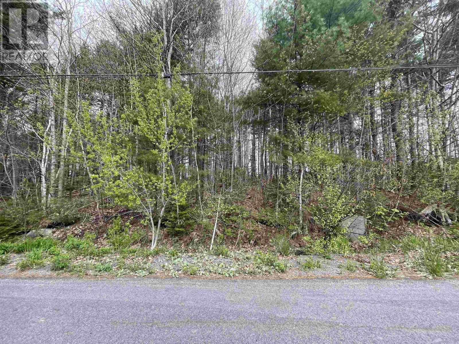 Lot Highway 103, Oakhill, Nova Scotia  B4V 0E1 - Photo 9 - 202505205