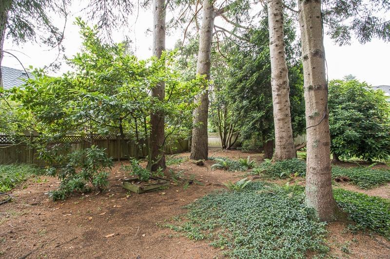13077 20a Avenue, Surrey, British Columbia  V4A 8L9 - Photo 34 - R2978788