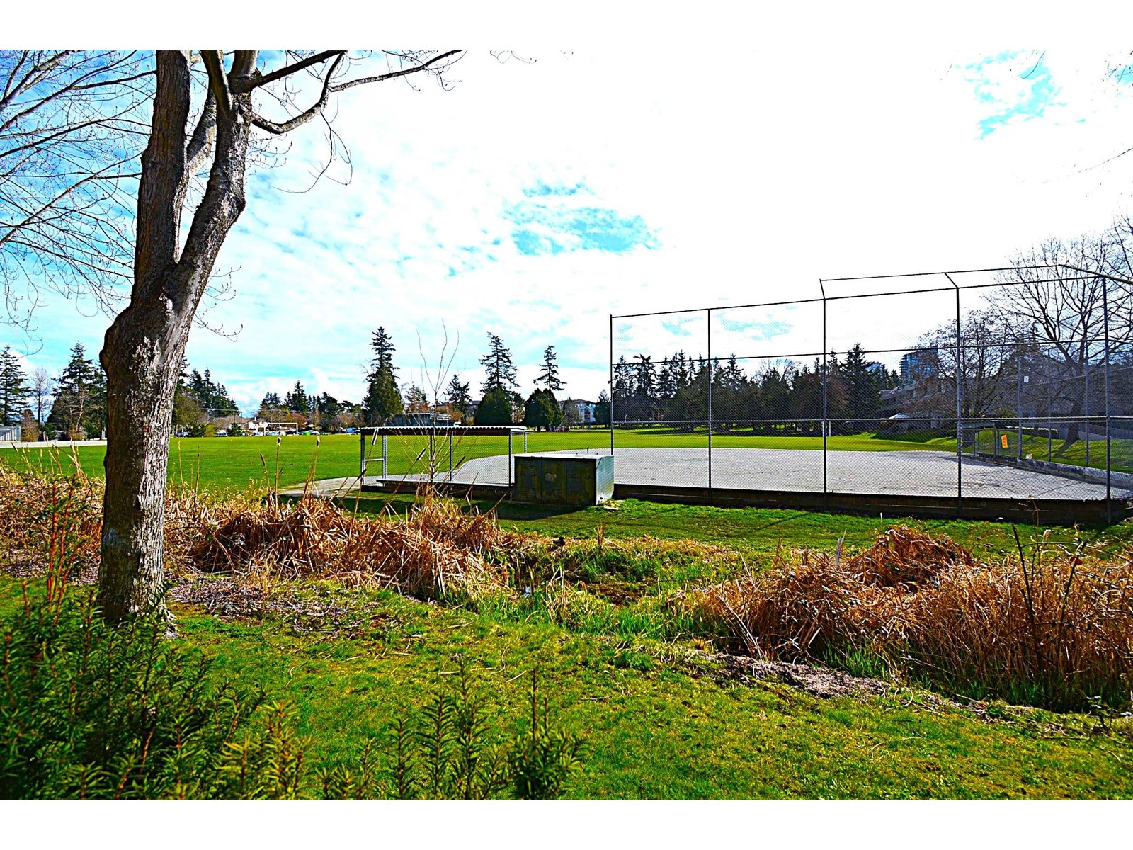 105 15313 19 Avenue, Surrey, British Columbia  V4A 1X6 - Photo 19 - R2978757