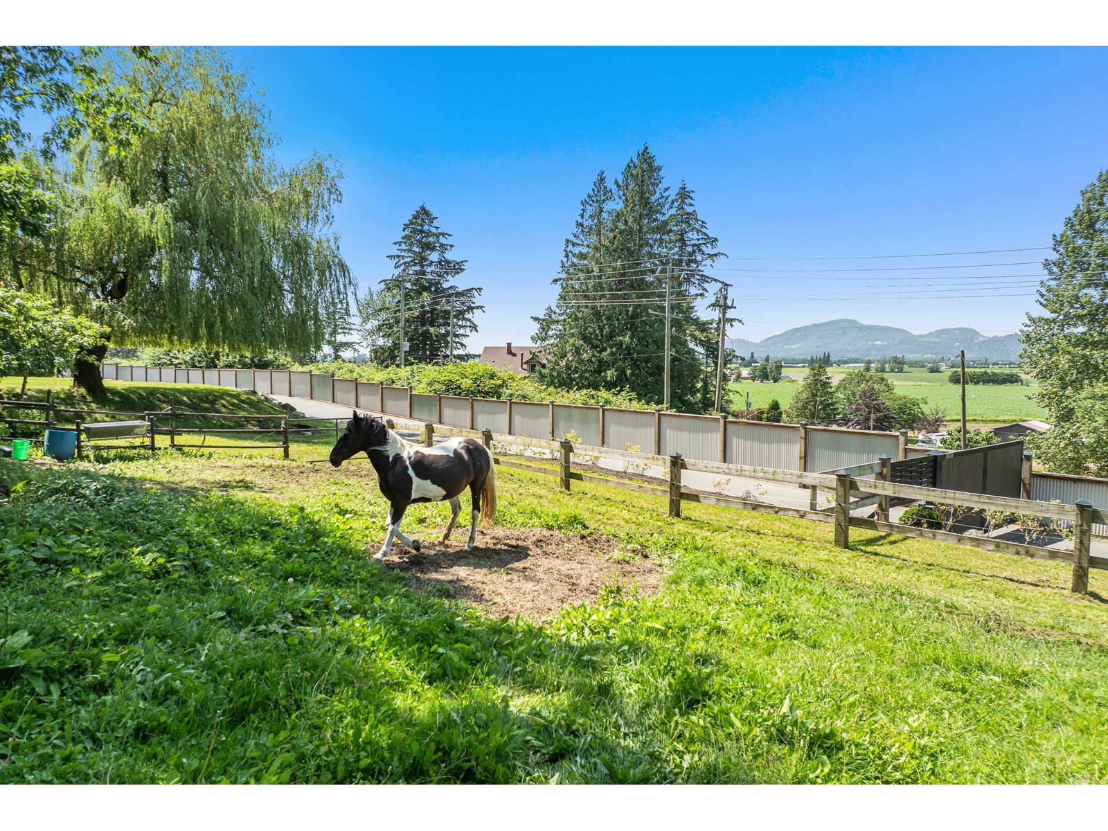 41056 Belrose Road, Abbotsford, British Columbia  V3G 2M9 - Photo 6 - C8067619
