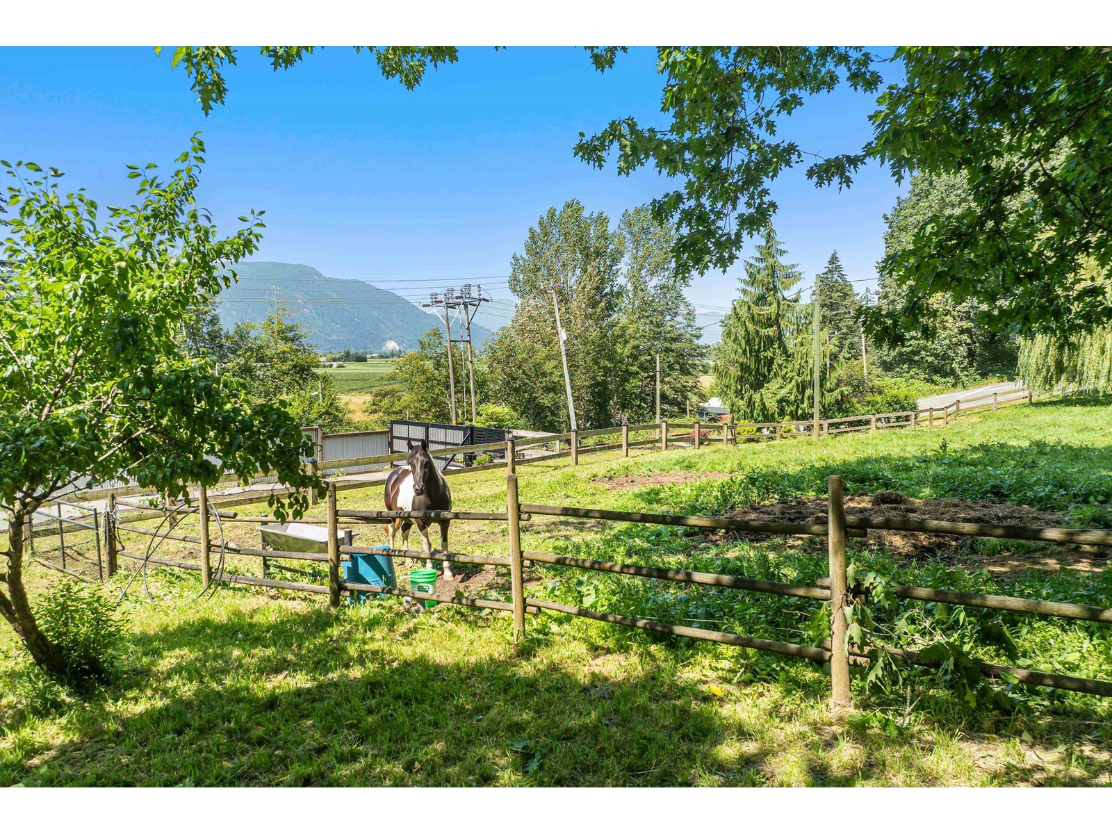 41056 Belrose Road, Abbotsford, British Columbia  V3G 2M9 - Photo 4 - C8067619