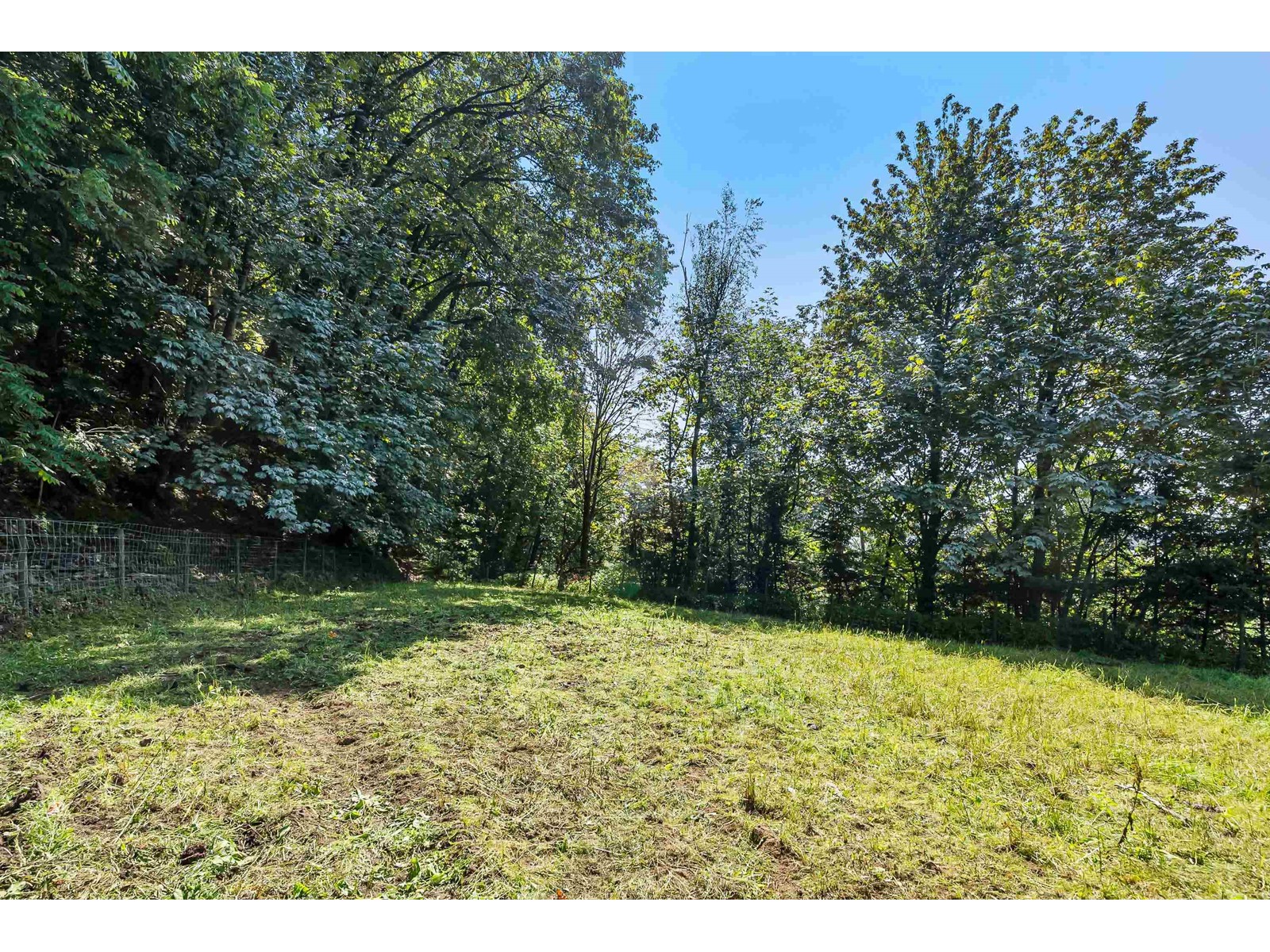41056 Belrose Road, Abbotsford, British Columbia  V3G 2M9 - Photo 27 - C8067619