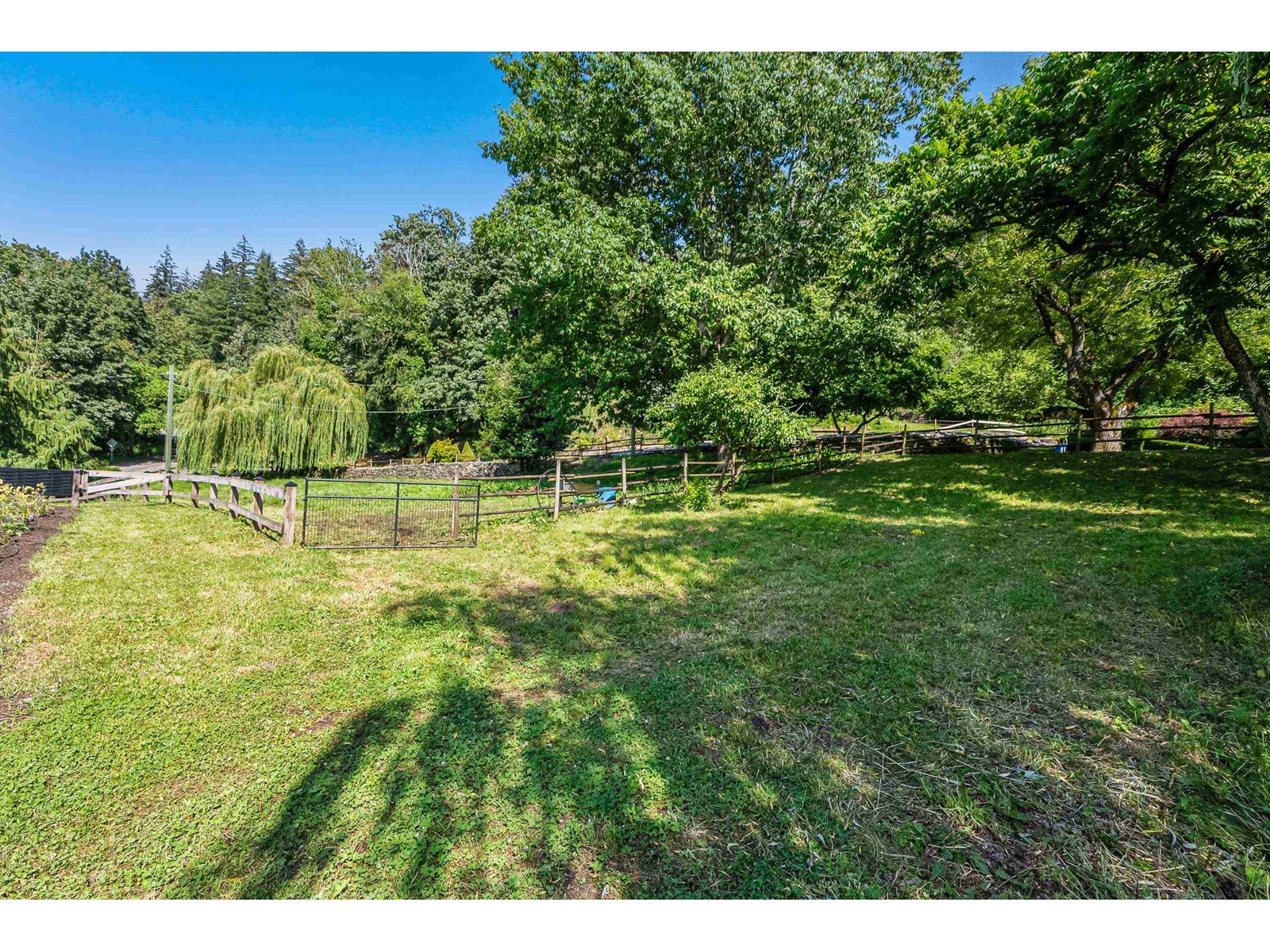 41056 Belrose Road, Abbotsford, British Columbia  V3G 2M9 - Photo 9 - C8067619
