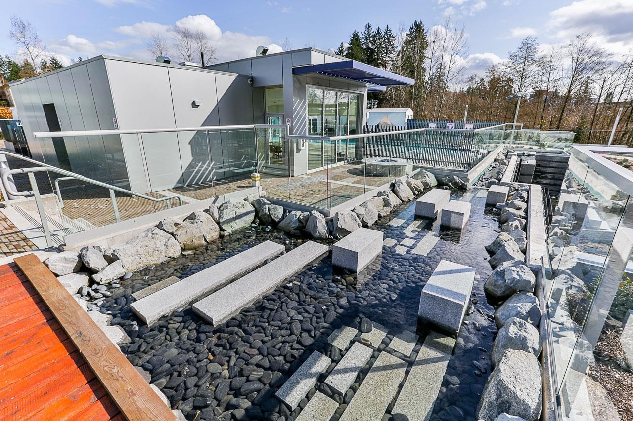 3709 13750 100 Avenue Avenue, Surrey, British Columbia  V3T 0L3 - Photo 37 - R2978965