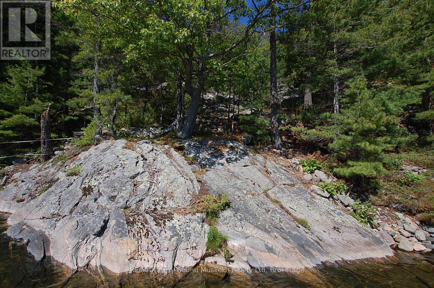 52b Rose Island, Carling, Ontario  P0G 1G0 - Photo 4 - X12027268