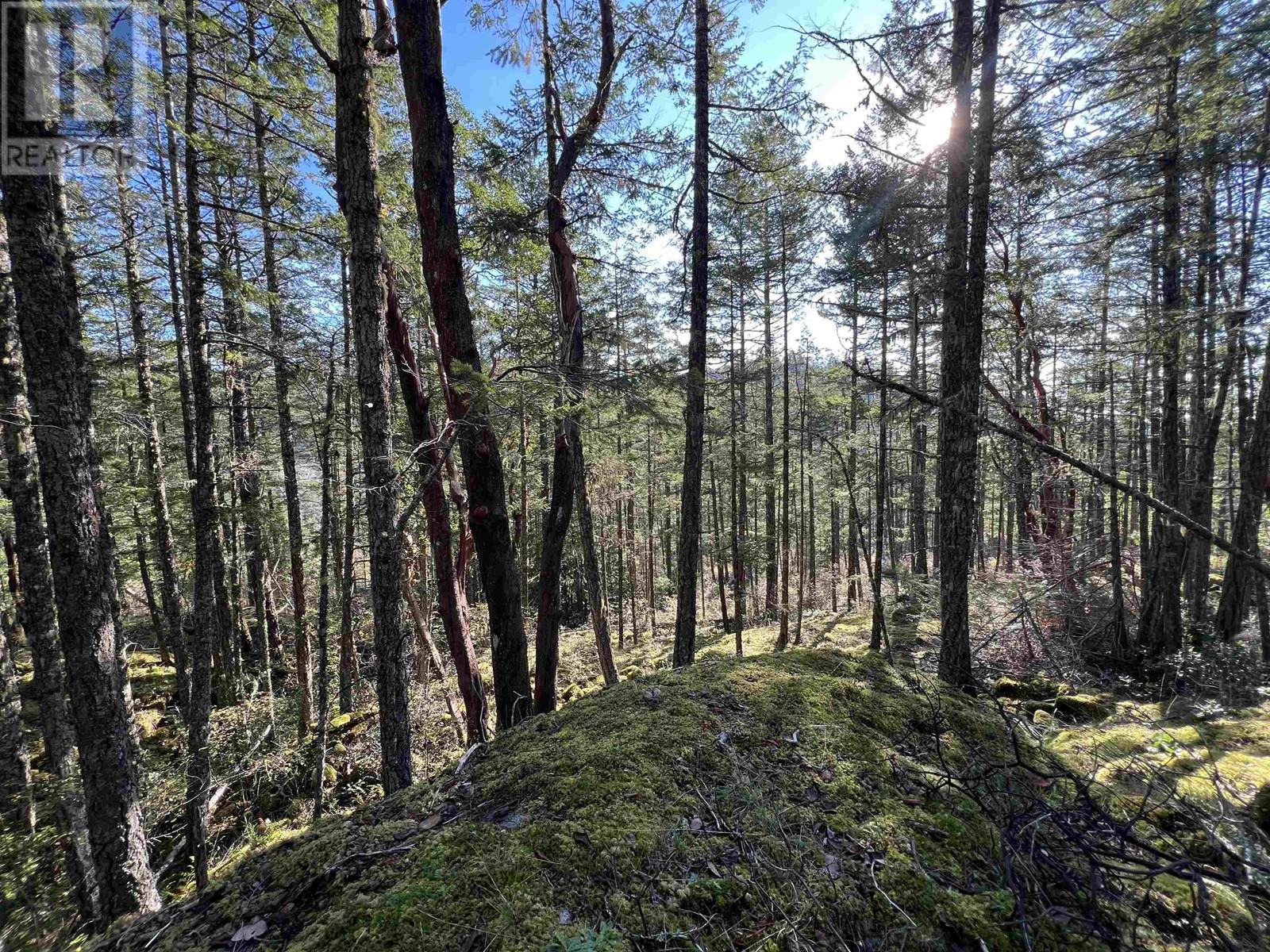 Lot 1 13685 Lee Road, Garden Bay, British Columbia  V0N 1S1 - Photo 3 - R2979486