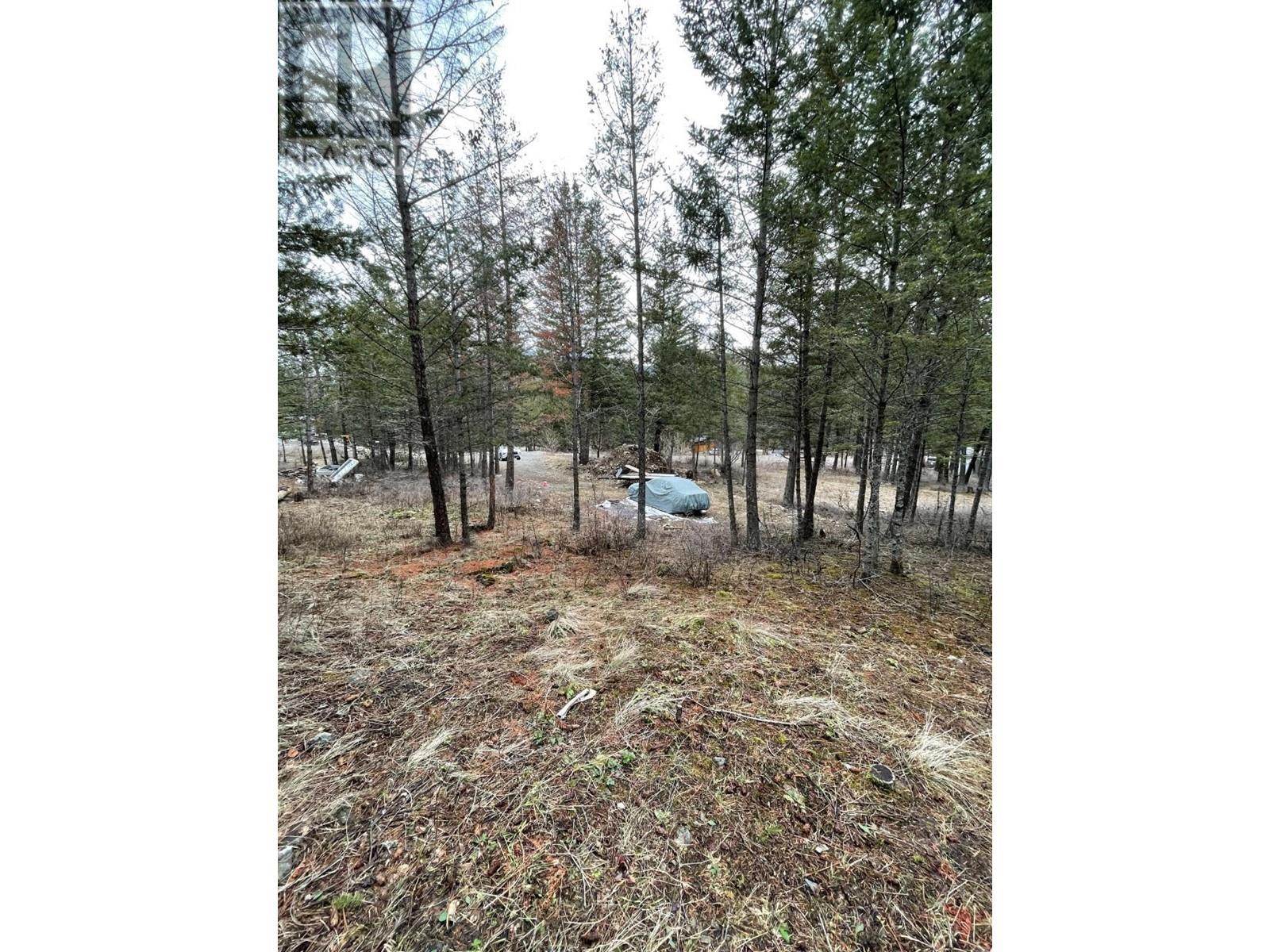 8828 North Hirtz Street, Elko, British Columbia  V0B 1T3 - Photo 8 - 10339466
