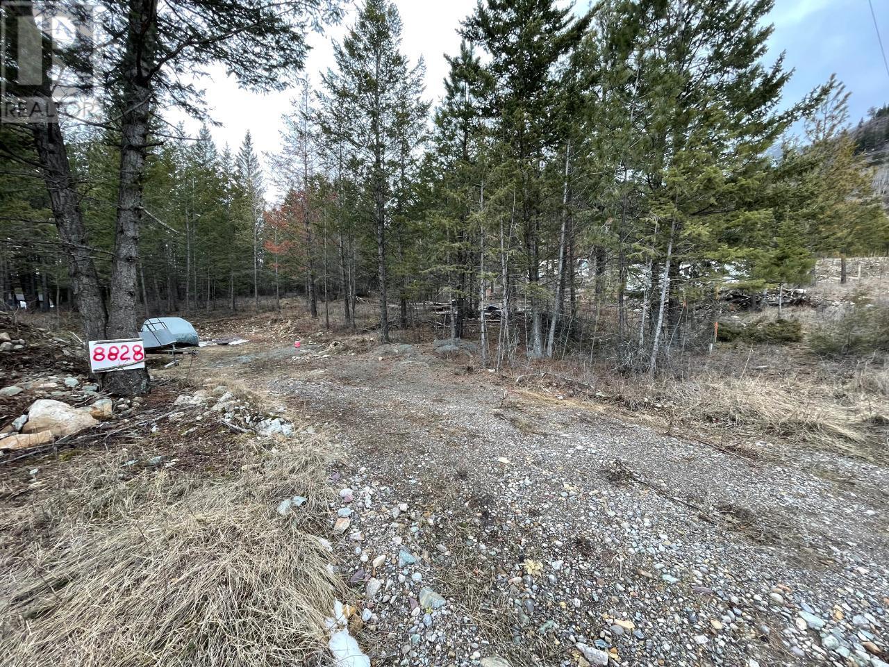 8828 North Hirtz Street, Elko, British Columbia  V0B 1T3 - Photo 2 - 10339466