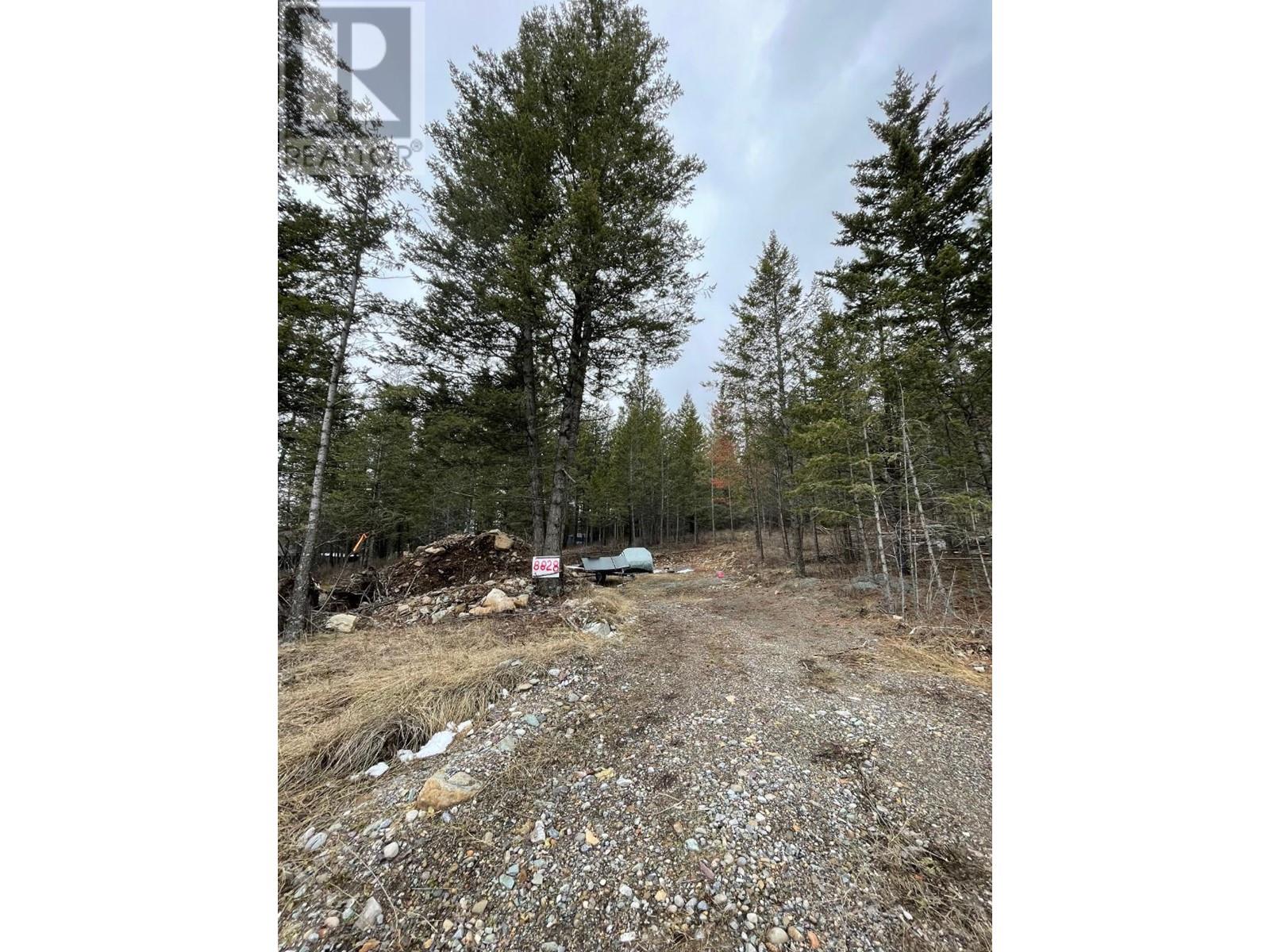 8828 North Hirtz Street, Elko, British Columbia  V0B 1T3 - Photo 9 - 10339466