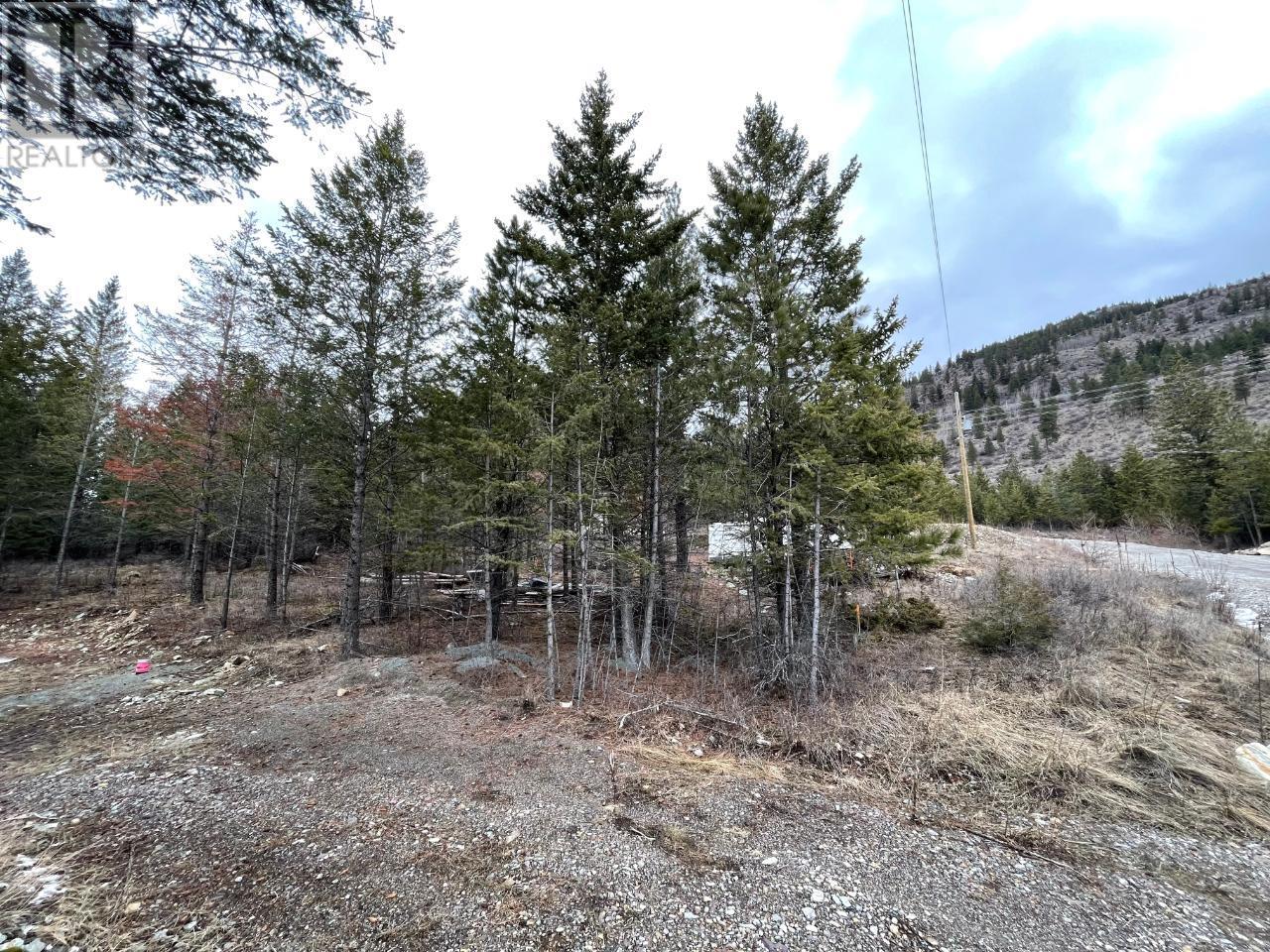 8828 North Hirtz Street, Elko, British Columbia  V0B 1T3 - Photo 3 - 10339466