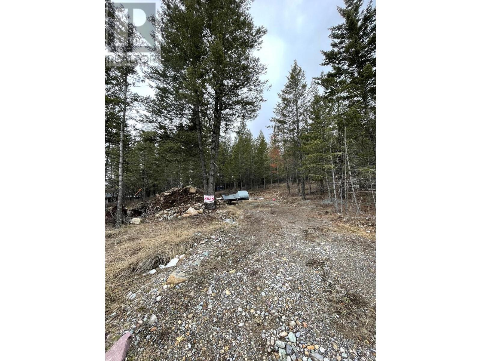 8828 North Hirtz Street, Elko, British Columbia  V0B 1T3 - Photo 10 - 10339466