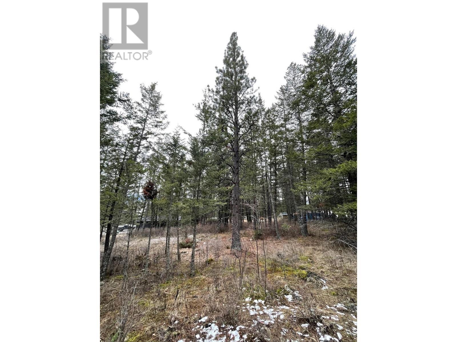 8828 North Hirtz Street, Elko, British Columbia  V0B 1T3 - Photo 7 - 10339466
