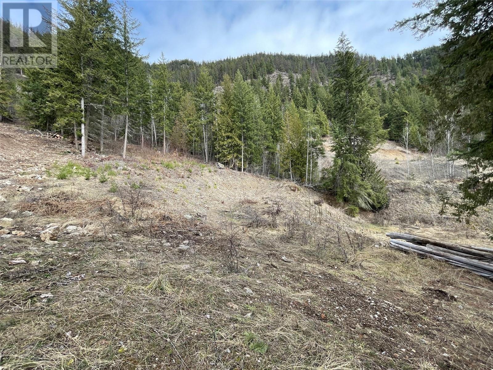 86 Old Town Road, Sicamous, British Columbia  V0E 2V4 - Photo 14 - 10338961