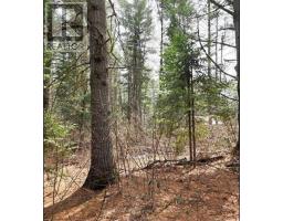 107 Balsam Chutes Road, Huntsville (Stephenson), Ca