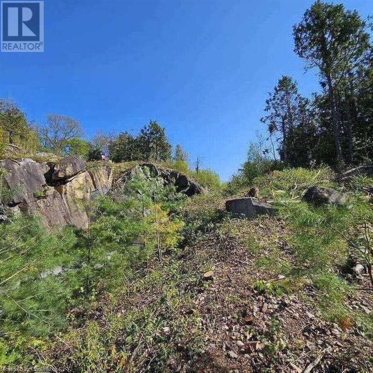 26 Fox Farm Road, Mckellar, Ontario  P0G 1C0 - Photo 12 - 40704685