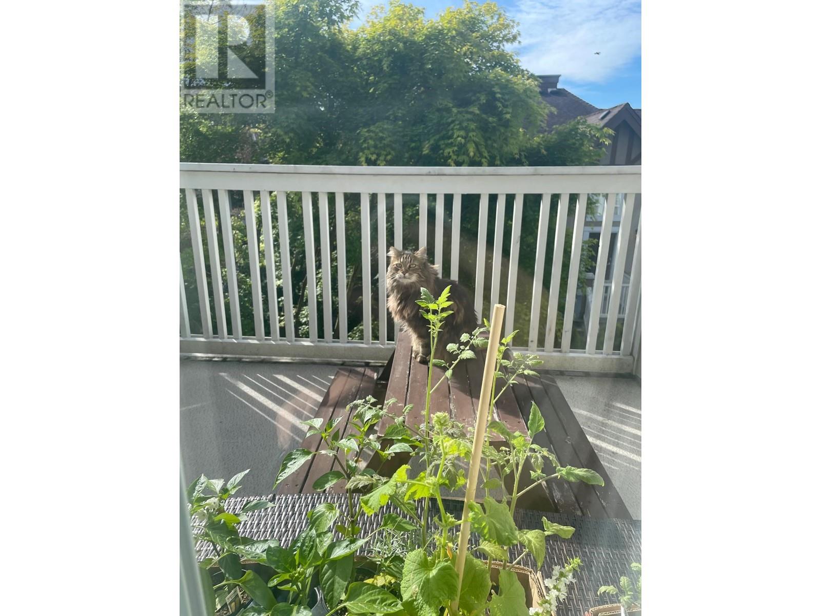 8 7238 18th Avenue, Burnaby, British Columbia  V3N 1H3 - Photo 38 - R2966819