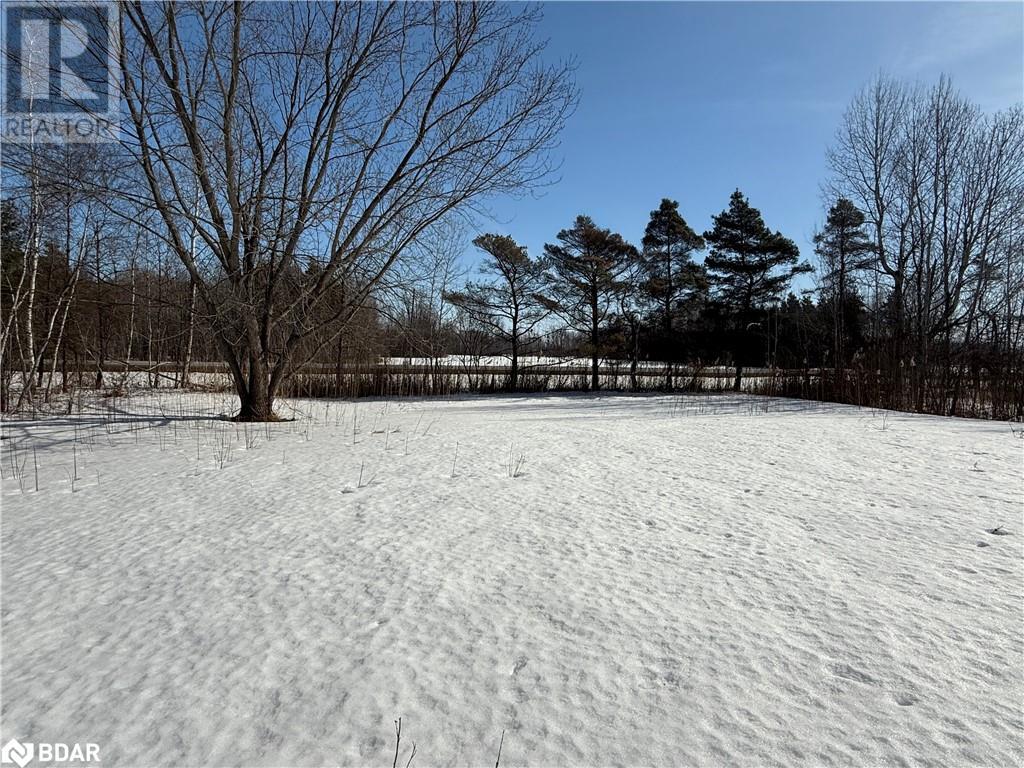 4177 William Street, Brinston, Ontario  K0E 1C0 - Photo 29 - 40708001