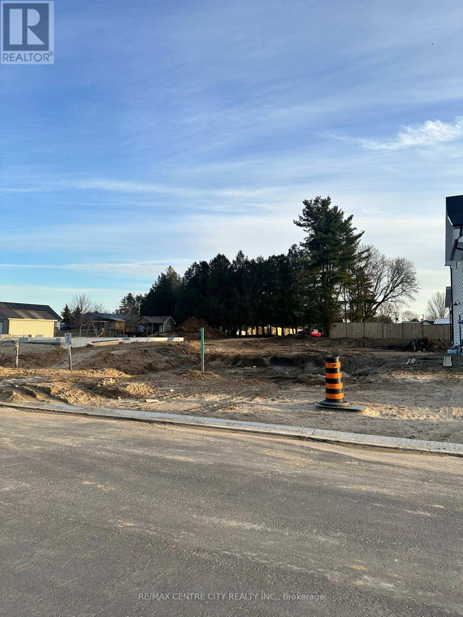56111 Maverick Court E, Bayham, Ontario  N0J 1Y0 - Photo 3 - X12027700