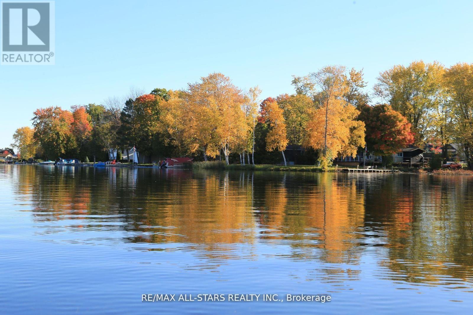 122 Fenelon Drive, Kawartha Lakes, Ontario  K0M 1G0 - Photo 8 - X12028157