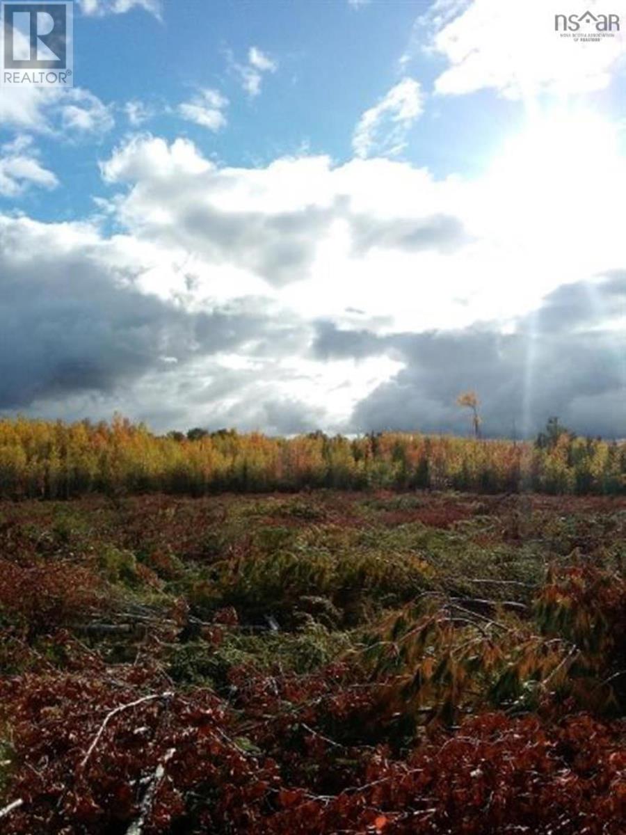 Lot Mackay Road, Welsford, Nova Scotia  B0K 1N0 - Photo 3 - 202505259