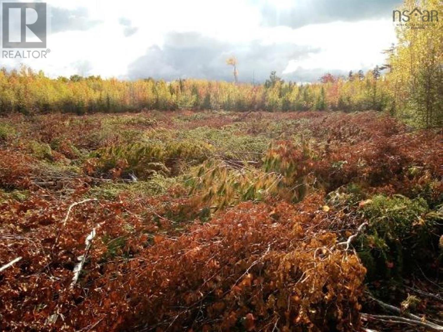 Lot Mackay Road, Welsford, Nova Scotia  B0K 1N0 - Photo 4 - 202505259