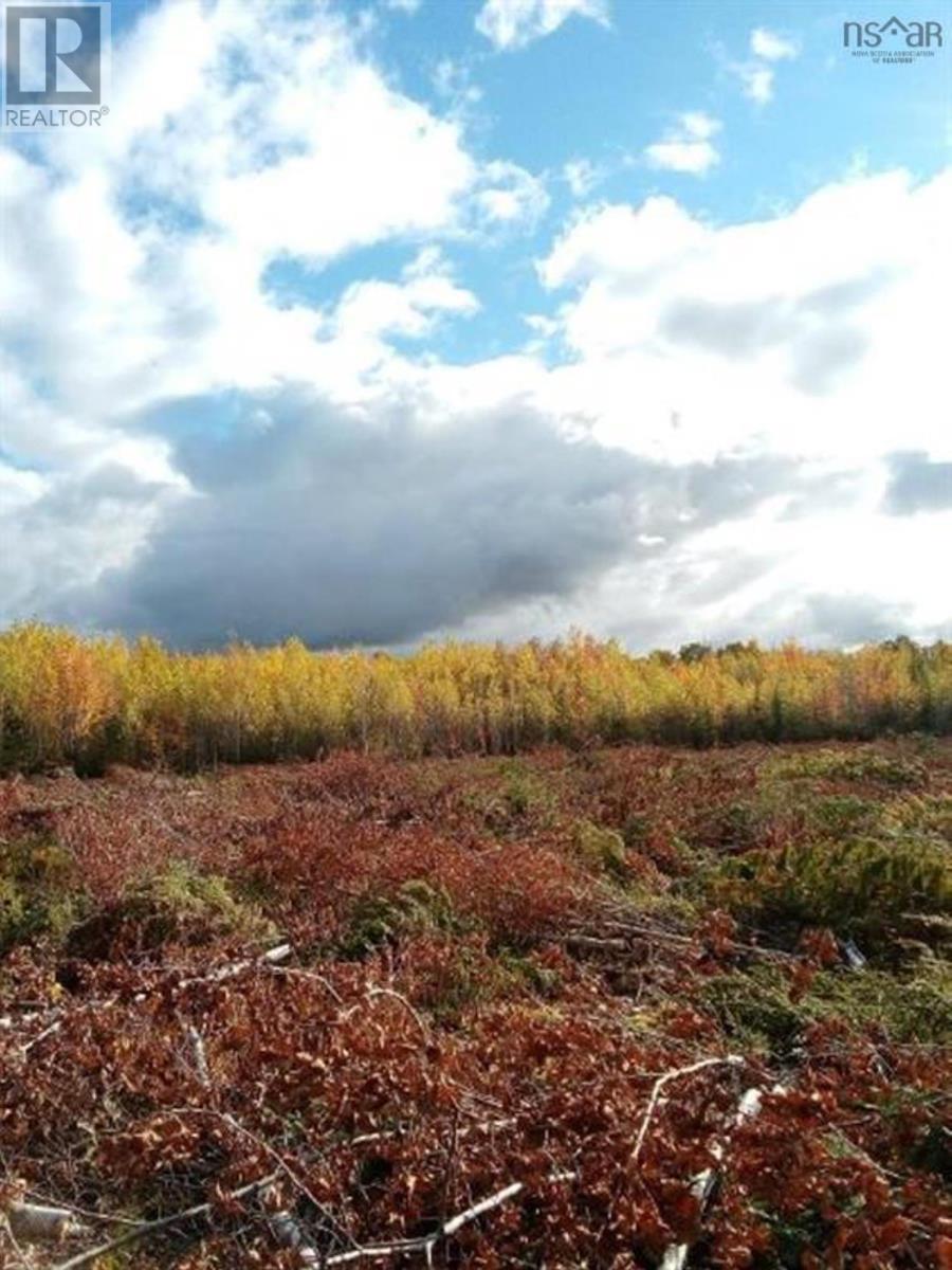 Lot Mackay Road, Welsford, Nova Scotia  B0K 1N0 - Photo 5 - 202505259