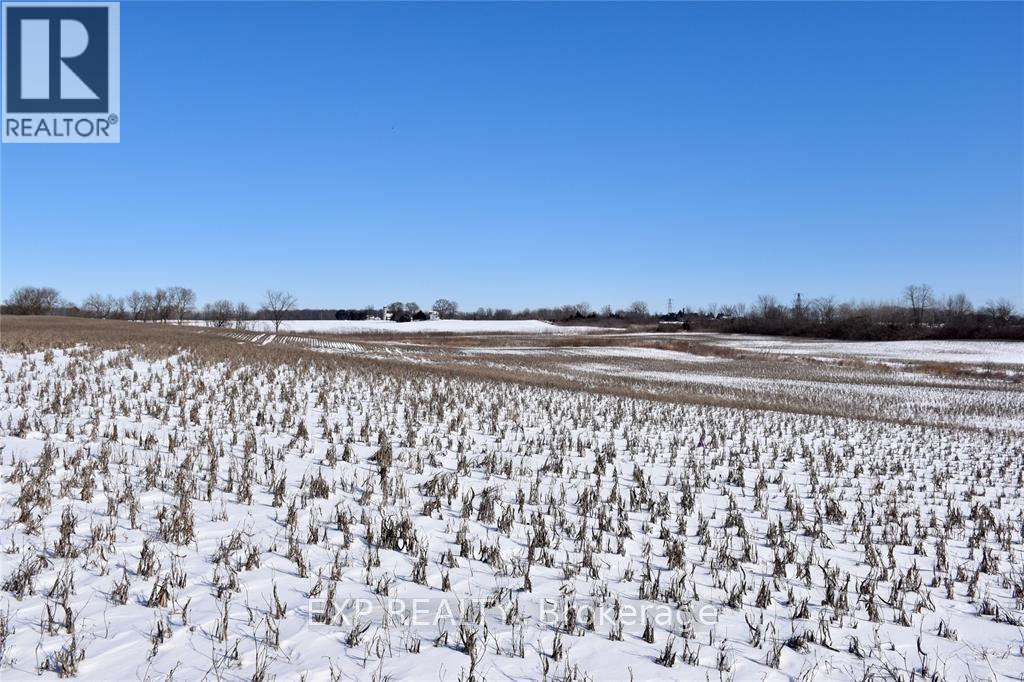 15686 Muirkirk Line, Chatham-Kent, Ontario  N0L 1X0 - Photo 1 - X12028526