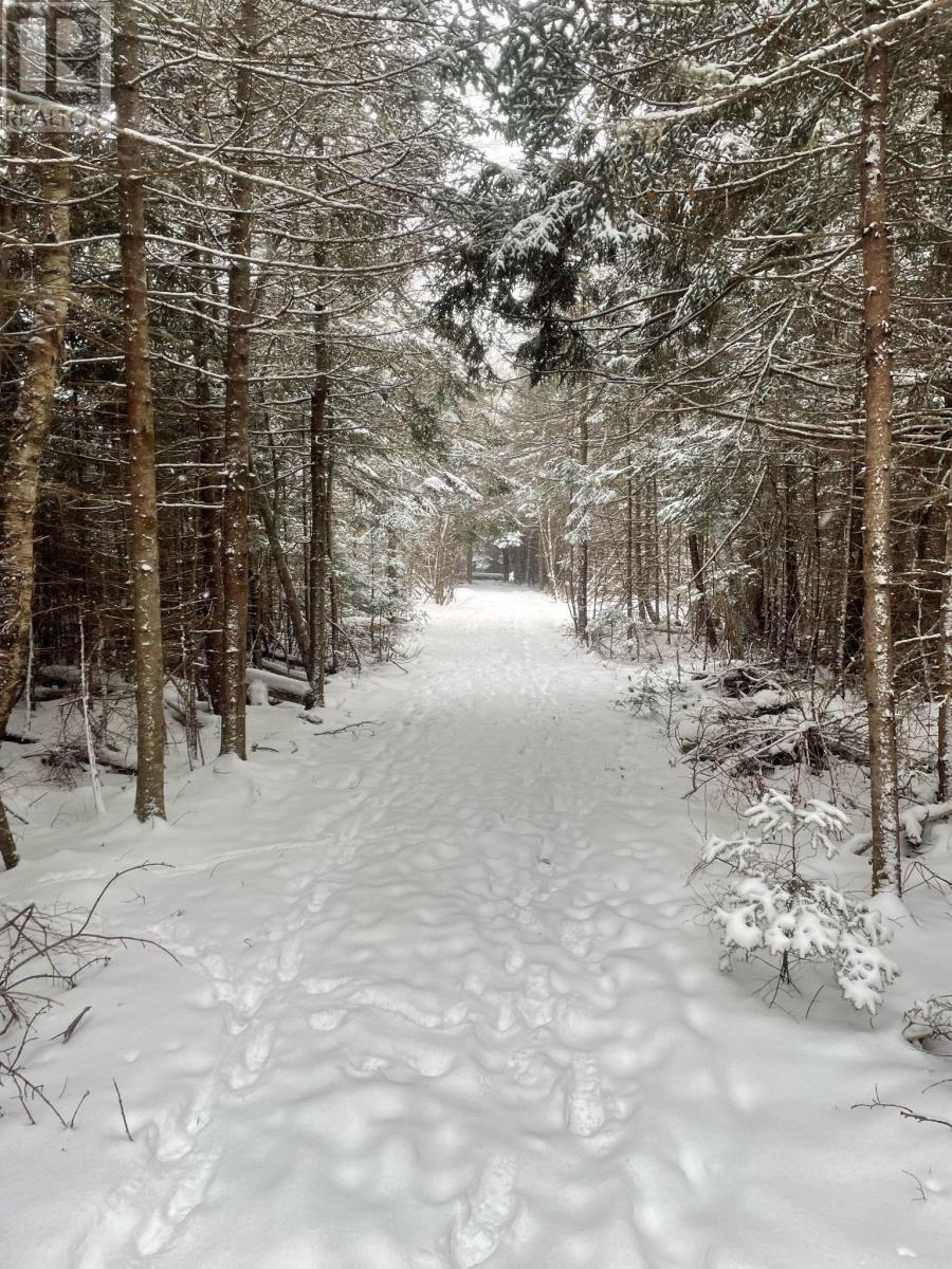 9409 Highway 215, Pembroke, Nova Scotia  B0N 2R0 - Photo 47 - 202505279