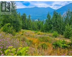 421 MOUNTAIN VIEW Drive, balfour, British Columbia