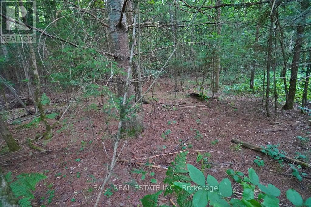 0 Glory Road, Hastings Highlands, Ontario  K0L 1C0 - Photo 13 - X12028703