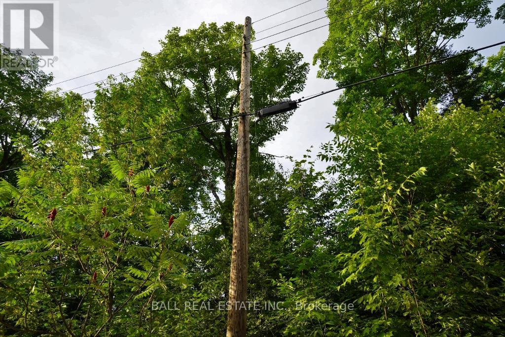 0 Glory Road, Hastings Highlands, Ontario  K0L 1C0 - Photo 16 - X12028703