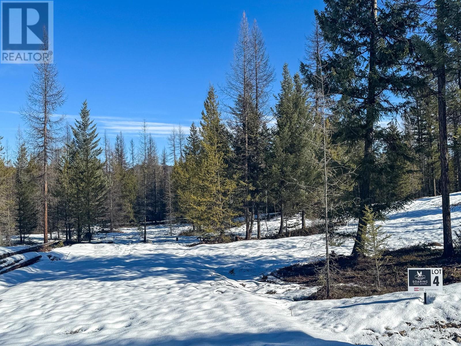 Proposed Lot 4 Soaring Eagle Estates Near Jim Smith Lake, Cranbrook, British Columbia  V1C 4H5 - Photo 7 - 10339695
