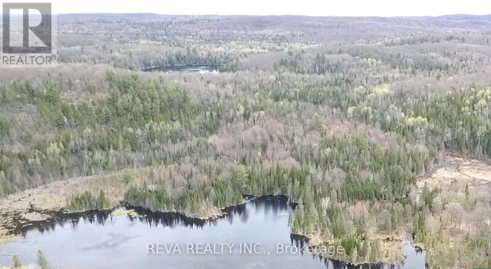 000 Airport Road, Bancroft, Ontario  K0J 1C0 - Photo 4 - X12026829