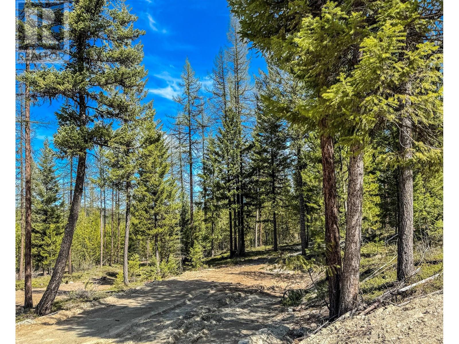 Lot 5 Whispering Pines Drive, Cranbrook, British Columbia  V1C 4H5 - Photo 6 - 10339697