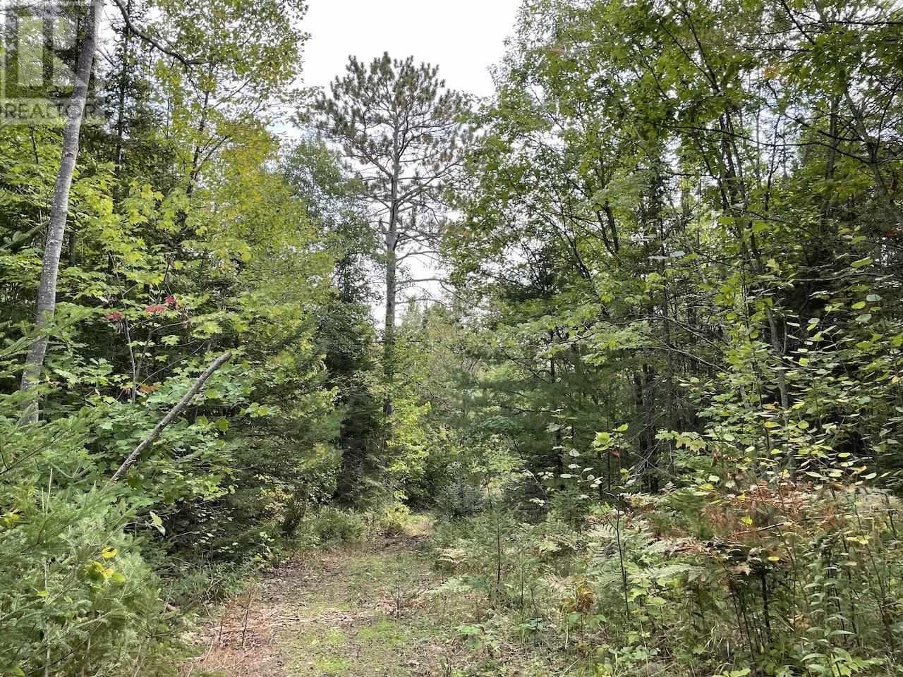 10263 PCL Highway 17, Spragge, Ontario