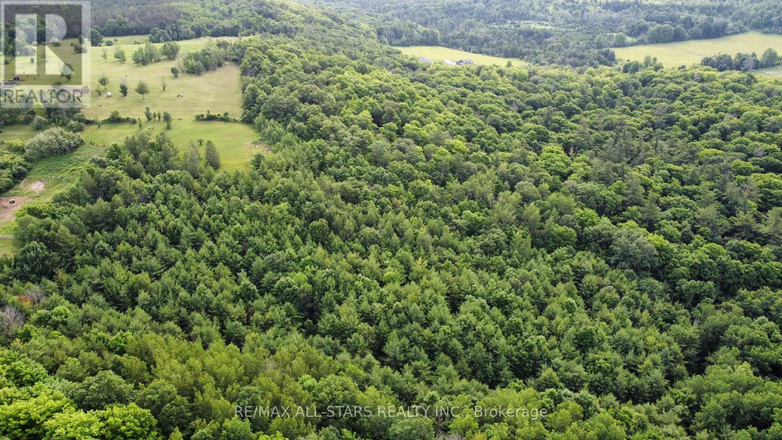 283 Bland Line, Cavan Monaghan, Ontario  L0A 1C0 - Photo 11 - X12028861