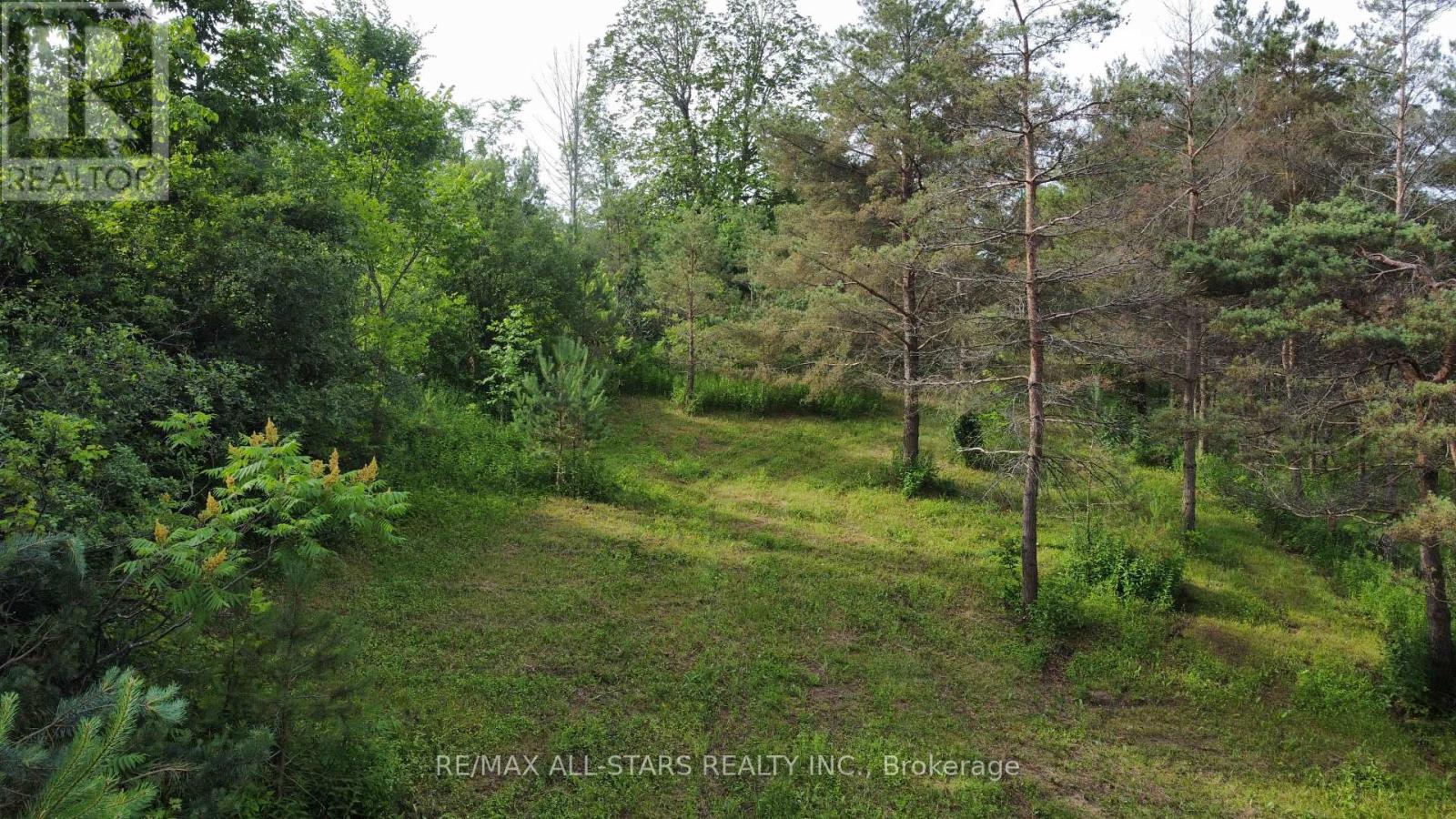 283 Bland Line, Cavan Monaghan, Ontario  L0A 1C0 - Photo 2 - X12028861