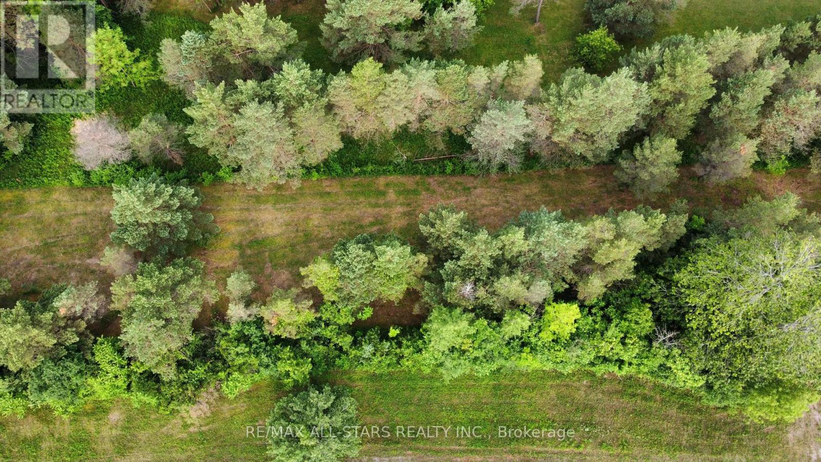 283 Bland Line, Cavan Monaghan, Ontario  L0A 1C0 - Photo 6 - X12028861